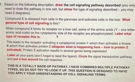 Solved Based On The Following Description Draw The Cell Chegg