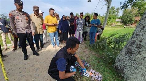 Sudah 8 Delapan Orang Diperiksa Polisi Belum Temukan Pelaku Kasus