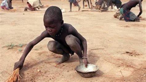 Fome Afetou Mais De Milh Es De Pessoas No Mundo Em Diz Onu