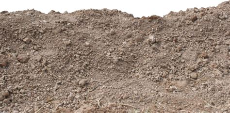 Soil Png Transparent Image Download Size 600x296px