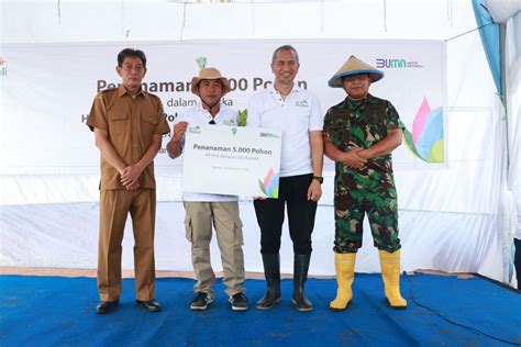 Lestarikan Lingkungan PLN UID Banten Tanam 5 000 Mangrove Di Desa