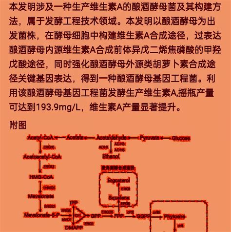 好想你合成生物30万亿市场！10个涨停！！好想你002582股吧东方财富网股吧