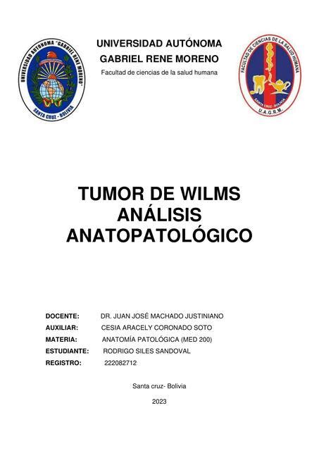 Tumor De Wilms Kevin ElProXD UDocz