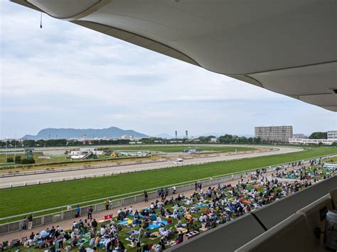 2024 第31回函館スプリントステークス予想 競馬予想。