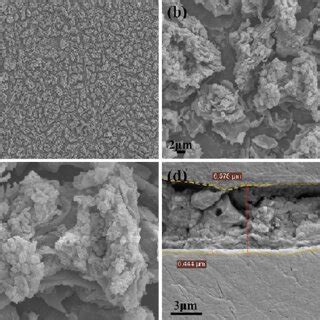 Ac Surface Microstructure And D Cross Sectional Morphologies Of