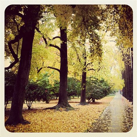 Sacramento parks rank 3rd nationally - Sactown Magazine