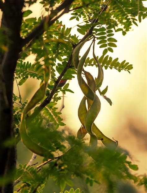 Our owner @Tim Hultgren took these... - Hultgren Funeral Home