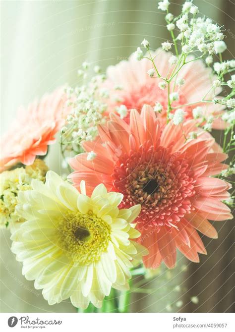 Yellow Gerbera Daisy Bouquet