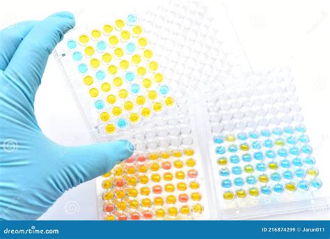 Enzyme Linked Immunosorbent Assay Or Elisa Plate Stock Image Image Of