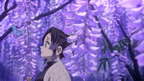 Hoa Tử Đằng Kimetsu: Bí Ẩn Của Loài Hoa Diệt Quỷ