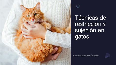 Técnicas de Restricción y Sujeción en Gatos Carolina Valencia uDocz