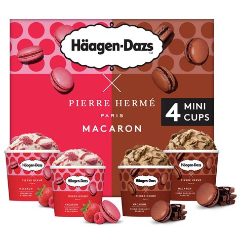 HAAGEN DAZS Mini pot de crème glacée collection Pierre Hermé macaron