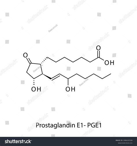 Prostaglandin E1 Prostaglandin Biomolecule Molecular Formula Stock