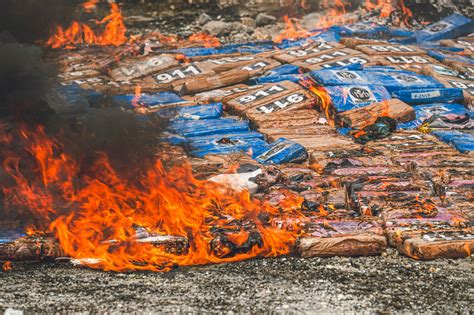 Destruyen Kilos De Coca Na Valorada En M S De Millones