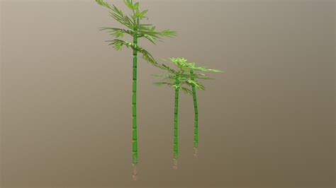 Bamboo 3d Model By Jerrytsang [512e698] Sketchfab