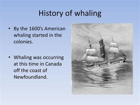 Ppt History Of Whaling Powerpoint Presentation Free Download Id