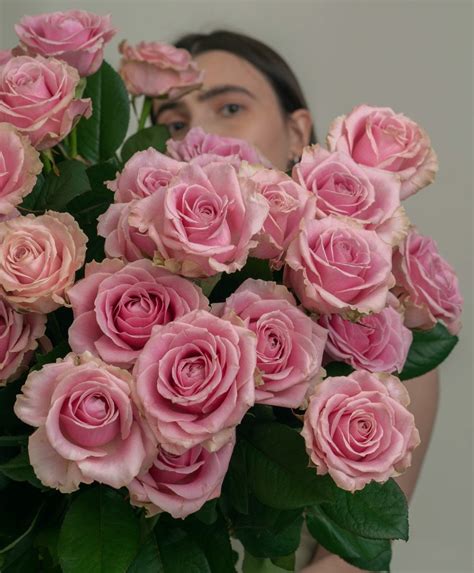 Своя роза | Одноголовая роза серии Аваланж (Avalanche)