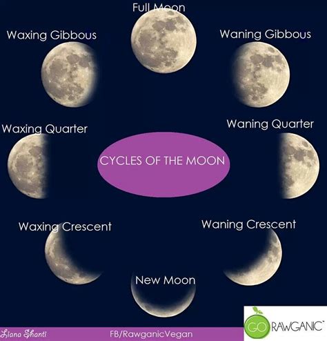 As The Moon Goes Moon Cycles Moon Waxing Gibbous