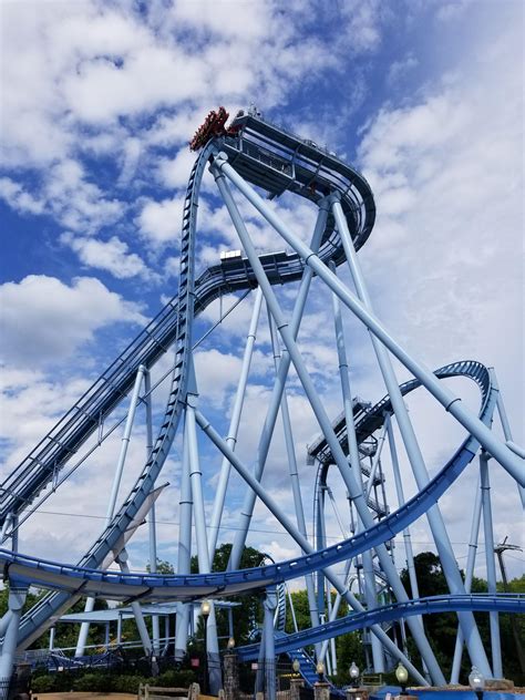 The Best Dive Griffon Busch Gardens Williamsburg Rrollercoasters