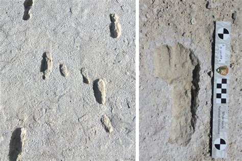 Pegadas fossilizadas colocam humanos na América antes da Idade do Gelo