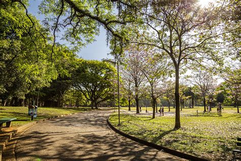 Aprender Sobre Imagem Fotos Parque Ibirapuera Br Thptnganamst Edu Vn