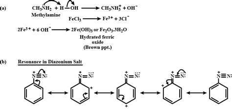 Methylamine Formation