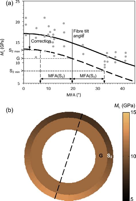 Figure 1 From Towards A Better Understanding Of Wood Cell Wall Characterisation With Contact