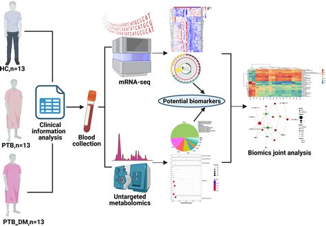 PDF Transcriptomic And Metabolomic Responses To Carbon And