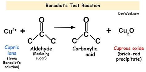 Benedict S Test Principle Procedure And Uses Dewwool Principles