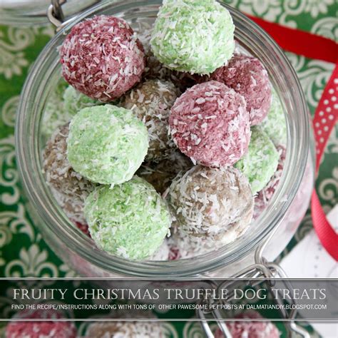 Recipe Fruity Christmas Snowball Dog Truffle Treats Dog Biscuit