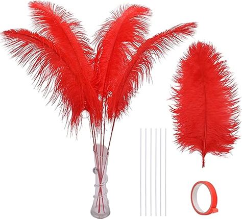 Amazon Ballinger Red Ostrich Feathers For Centerpieces 12pcs 24