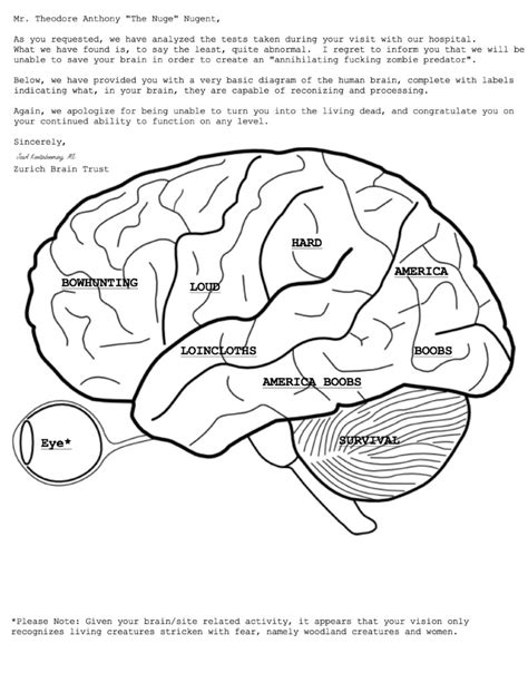 Printable Brain Anatomy Coloring Pages Coloring Pages