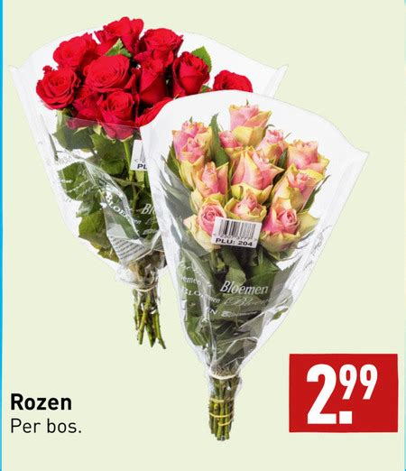 Rozen Folder Aanbieding Bij Aldi Details