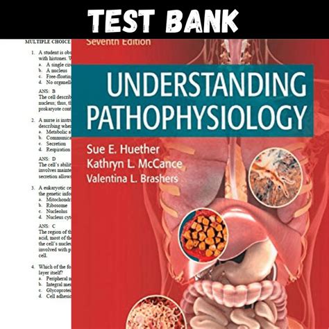 Understanding Pathophysiology 7th Edition Huether Test Bank Inspire