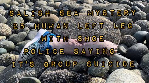 Salish Sea Feet Mystery Mysteriesstory Crazyfacts Facts Youtube