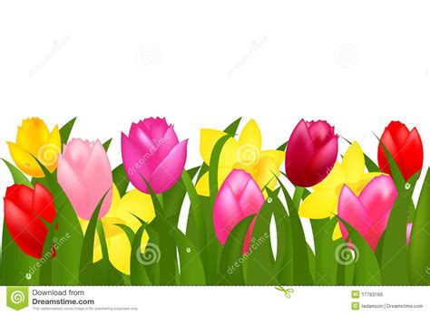 tulip clip art border 10 free Cliparts | Download images on Clipground 2024