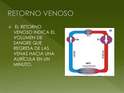 Fisiologia Del Retorno Venoso