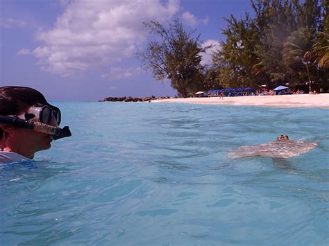 Barbados Snorkeling | Outside the Cage