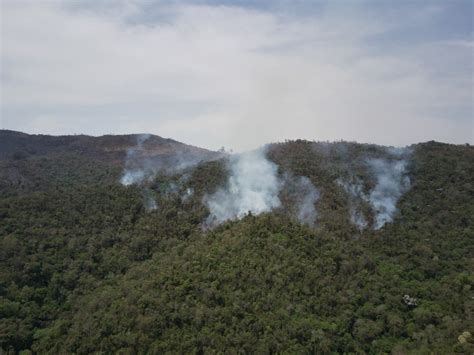 Queimada atinge área de vegetação próxima à Serra do Japi Sorocaba e