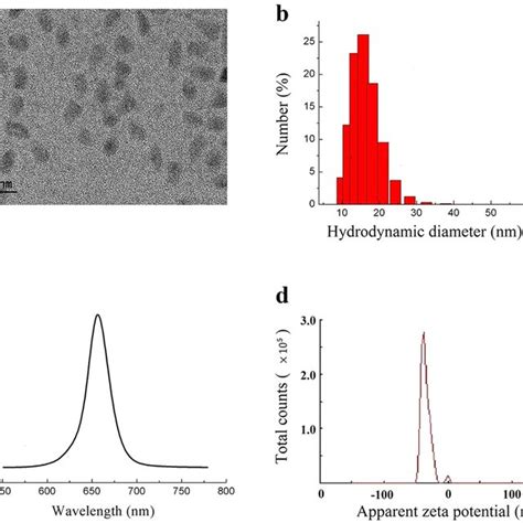 The Characterization Of Cdsezns Qds A The Tem Image Of Qds B The