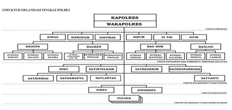 Struktur Organisasi