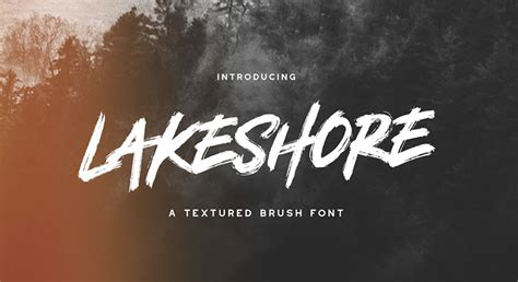 26 Best Free Brush Fonts Paint Brush And Script Fonts To Download Now