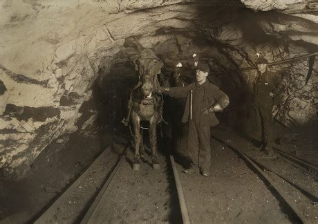 38 Child coal miners Stock Pictures, Editorial Images and Stock Photos ...