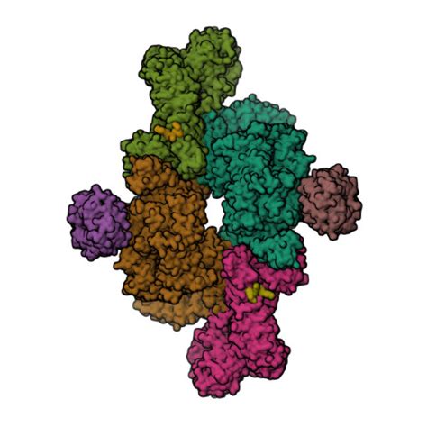 RCSB PDB 6BCU Cryo EM Structure Of The Activated RHEB MTORC1 Refined