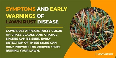 Stop Lawn Rust In Its Tracks Prevention And Treatment Tips