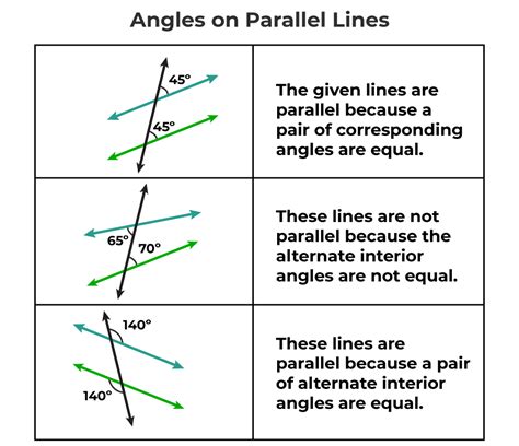 parallel lines and transversals | Physics Wallah - Worksheets Library