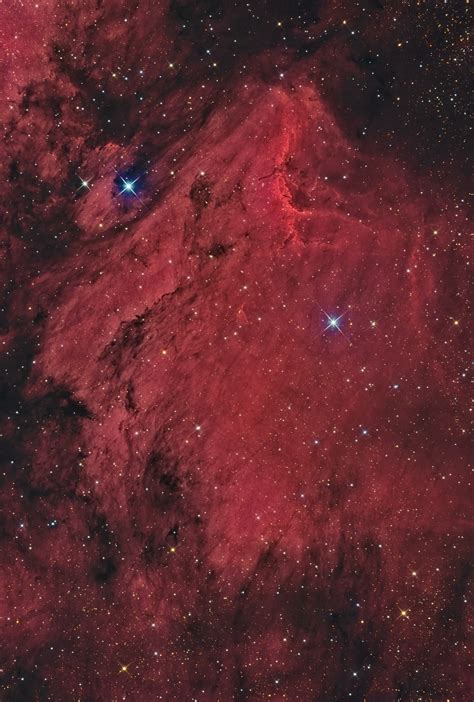 IC5070 And IC5067 The Pelican Nebula Astrodoc Astrophotography By