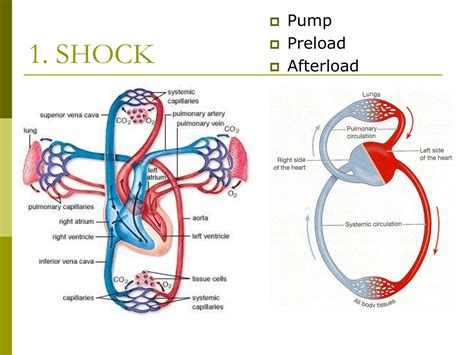 Solution First Aid Shock Fractures Studypool