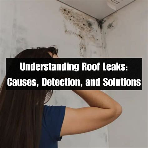 Understanding Roof Leaks Causes Detection And Solutions