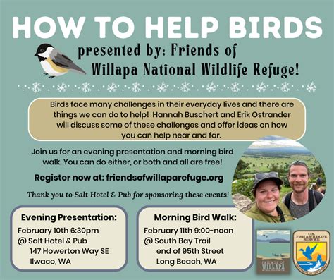 How To Help Birds Friends Of Willapa National Wildlife Refuge